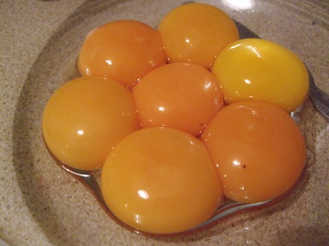 7 egg yolks