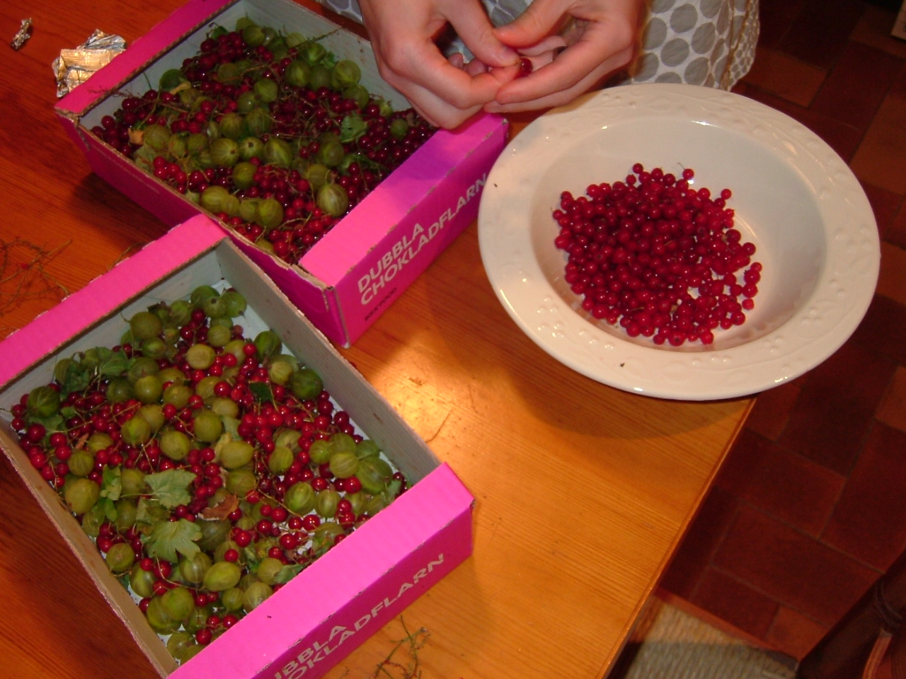 Redcurrant and gooseberry sorbet