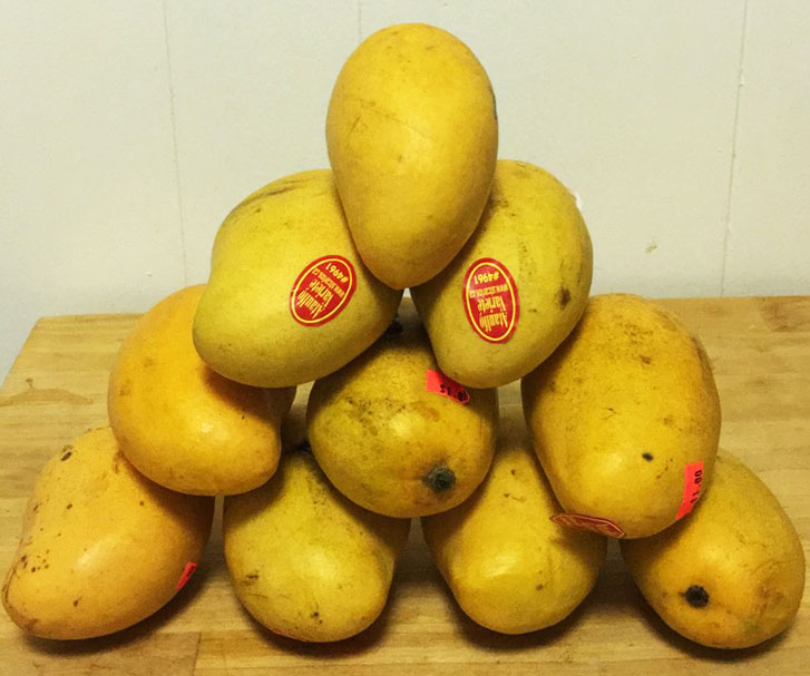 Mango Sorbet in 4 easy steps