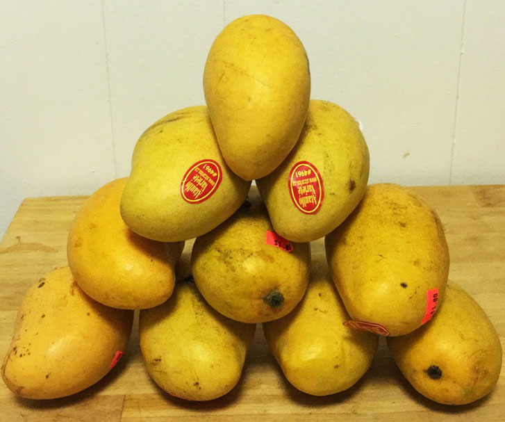 Mango Sorbet in 4 easy steps