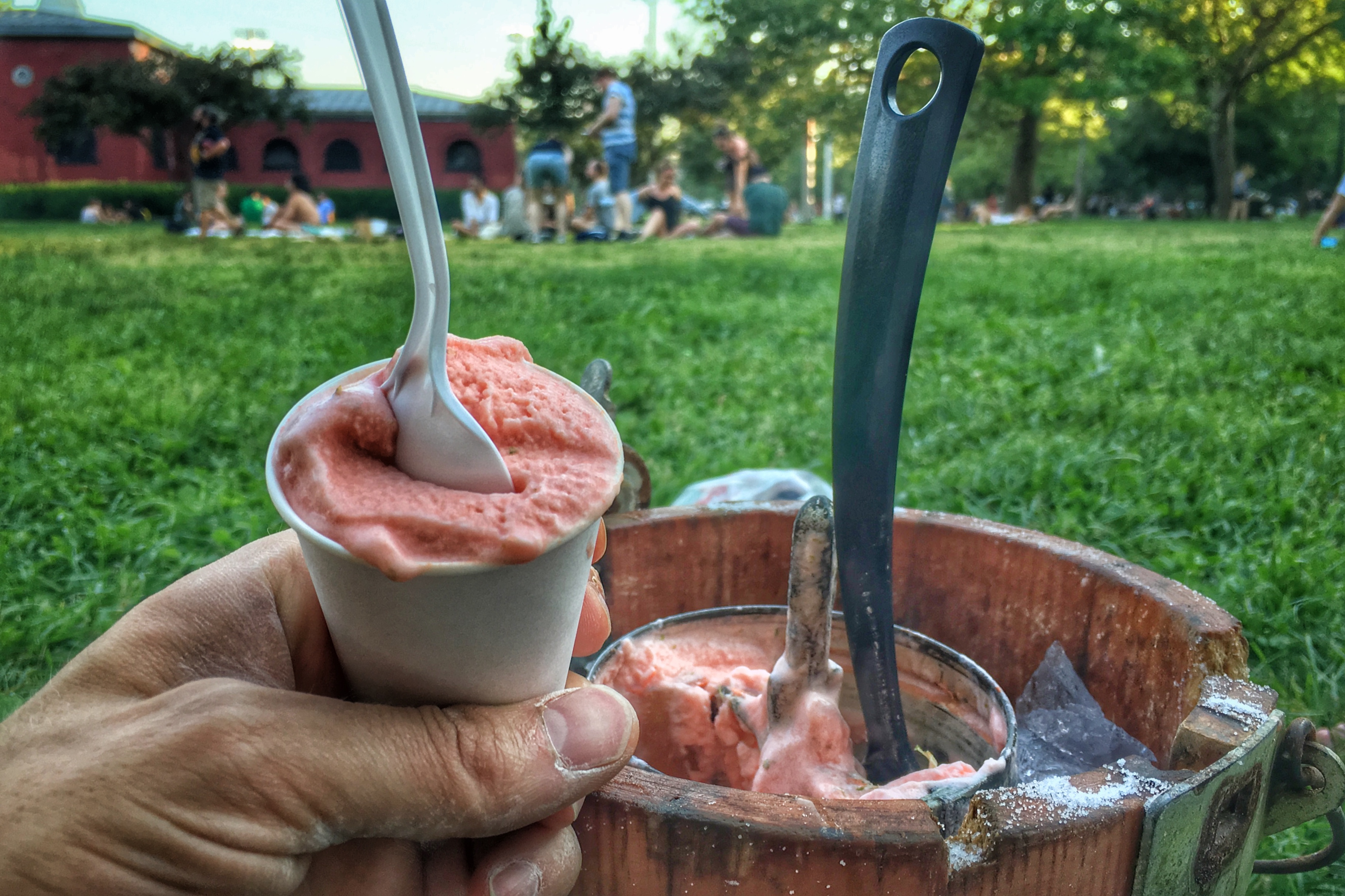 Watermelon & Lime Ice Cream